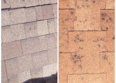 Roofing Shingles in CO Springs
