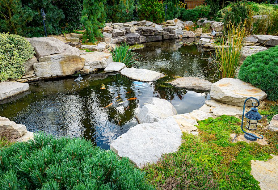 water designs